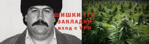spice Аркадак