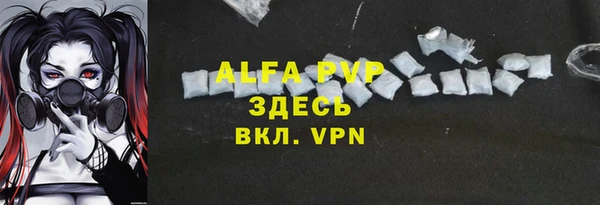 PSILOCYBIN Сосновка