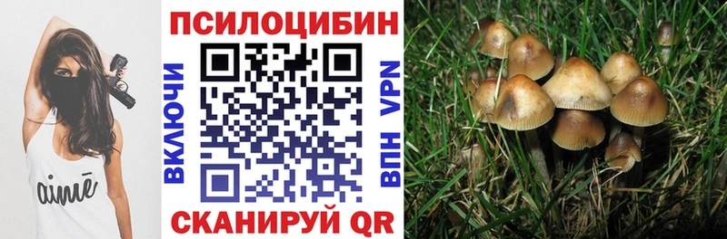 Псилоцибиновые грибы прущие грибы  Лихославль 